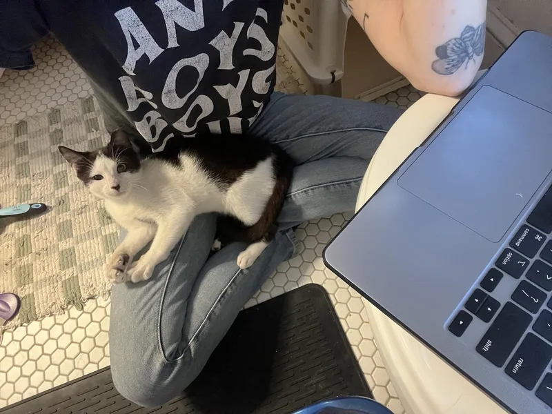 Fabio Frazer thumbnail 4