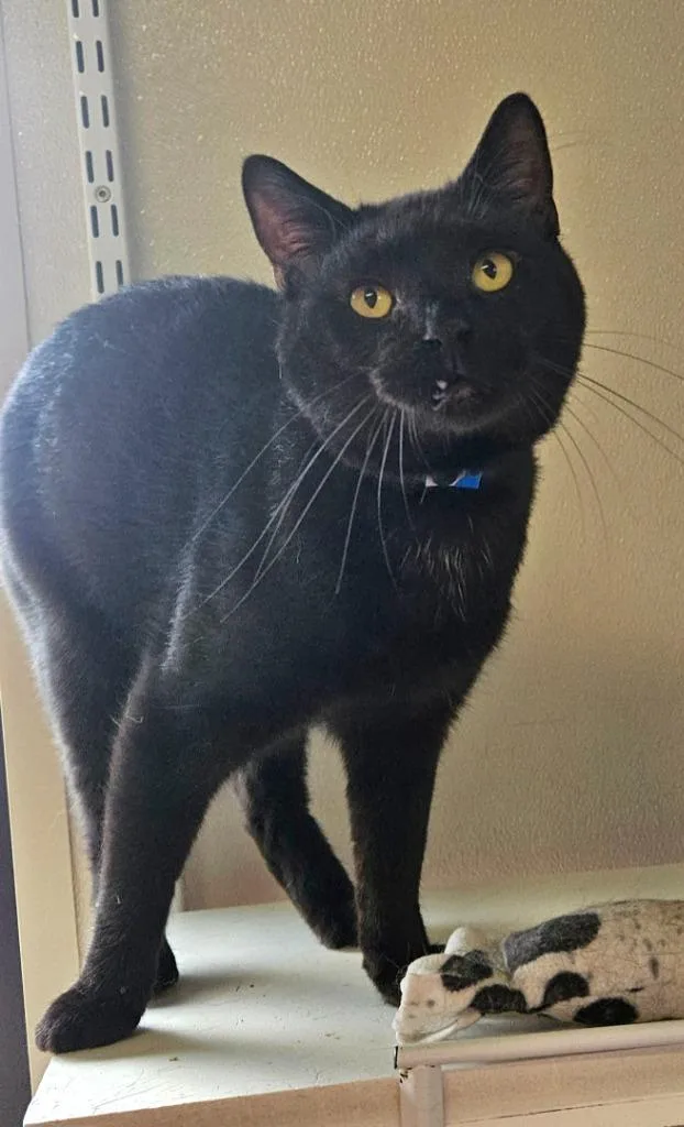 Tux