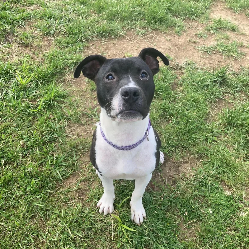 Fiona @ Prison Training thumbnail 2