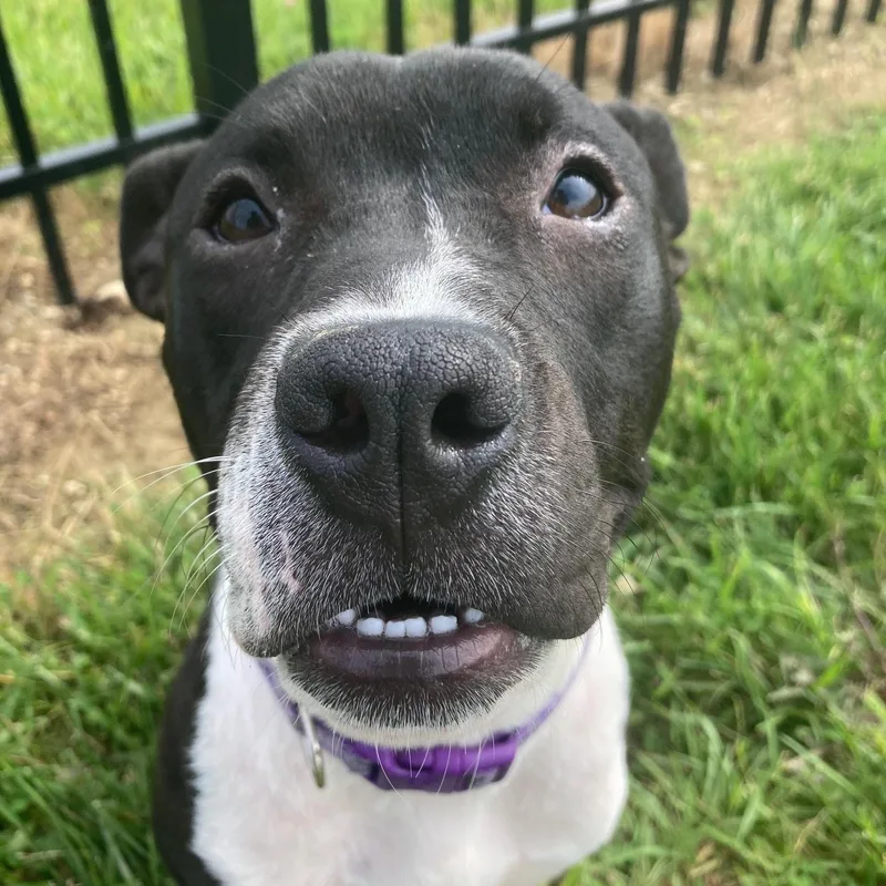 Fiona @ Prison Training thumbnail 3