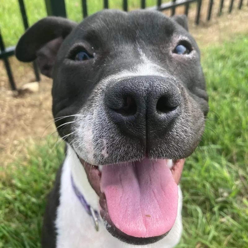 Fiona @ Prison Training thumbnail 4