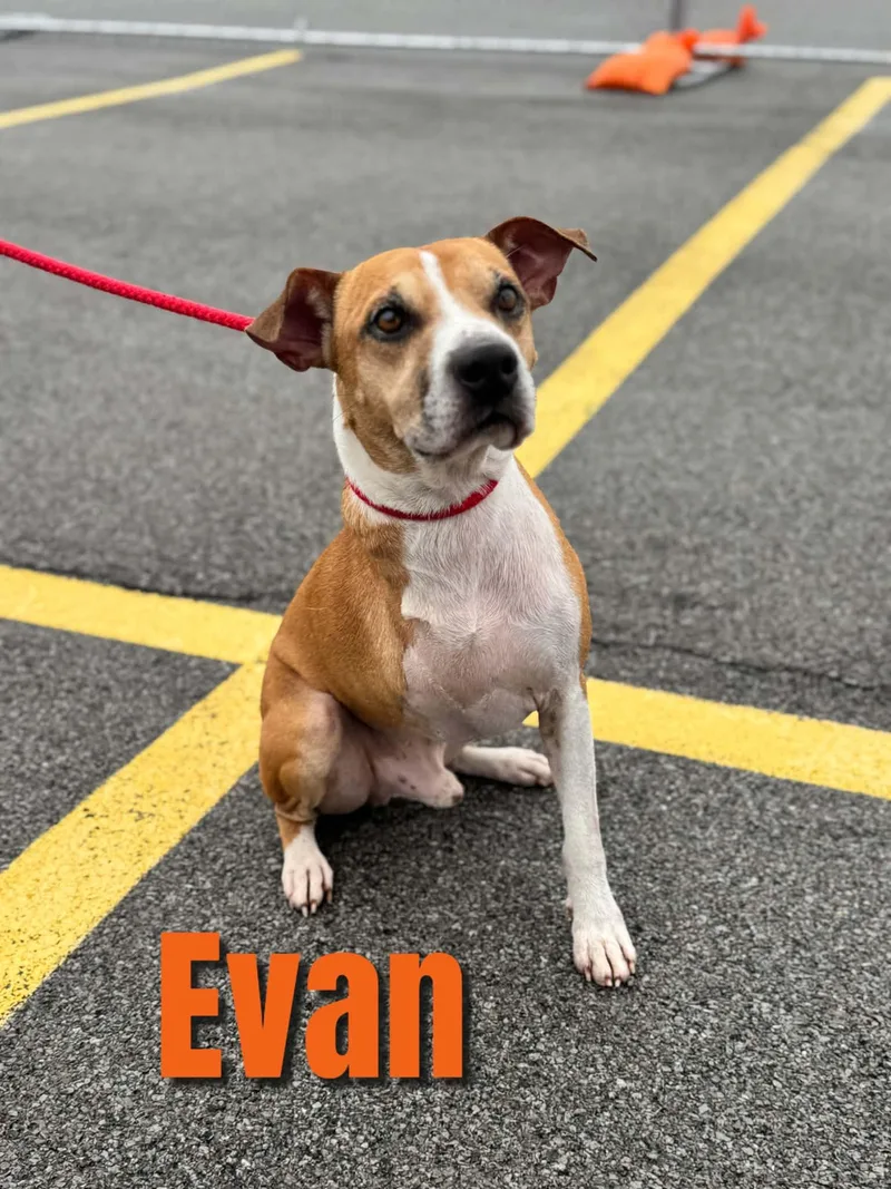 Evan
