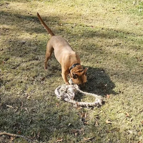 Thunderbolt thumbnail 2