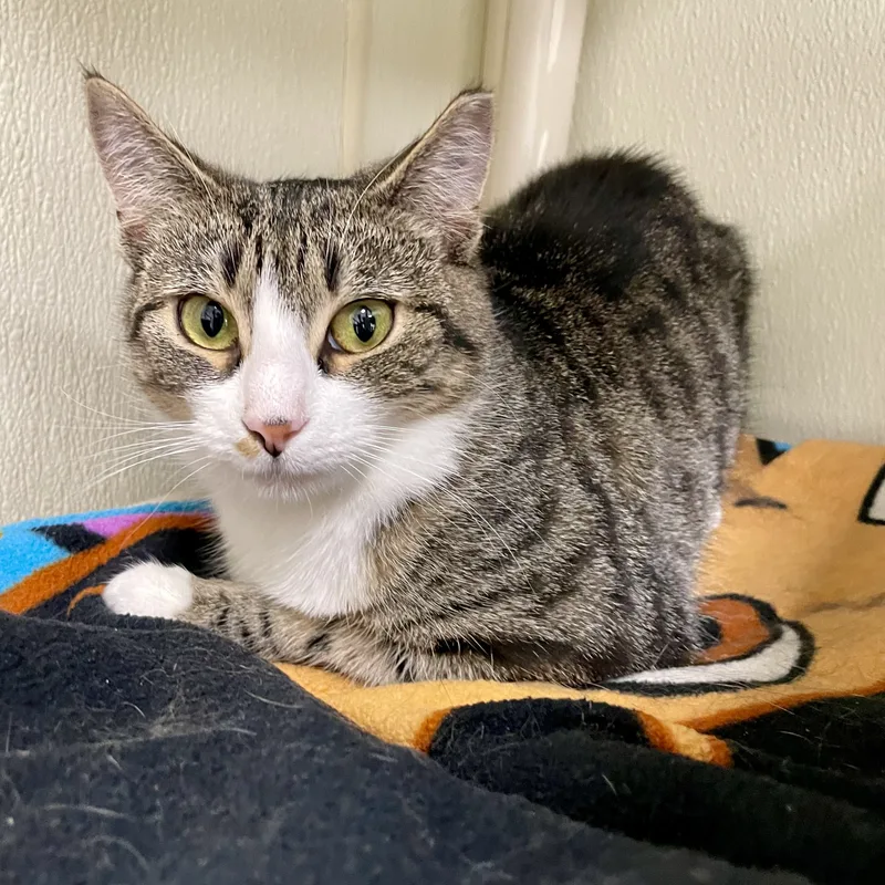 Marty Maraschino thumbnail 2