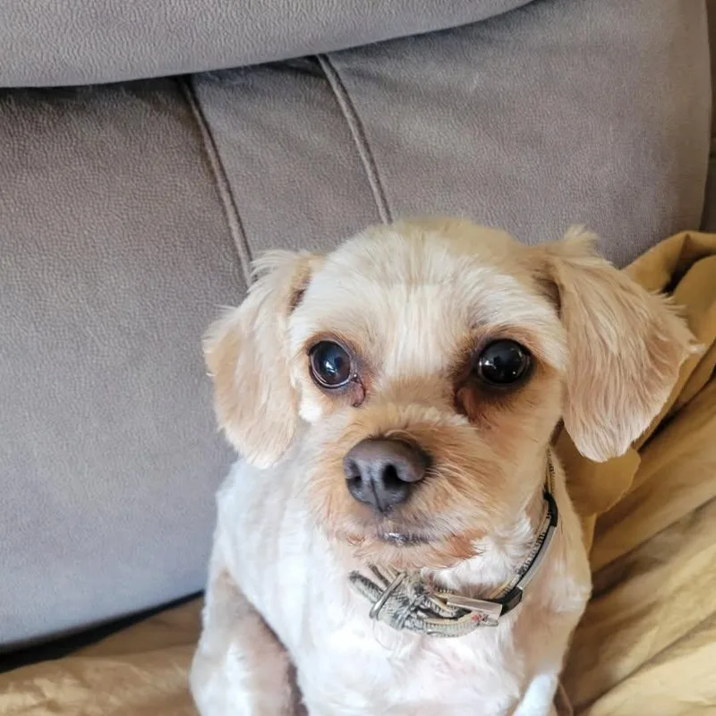 Winnie