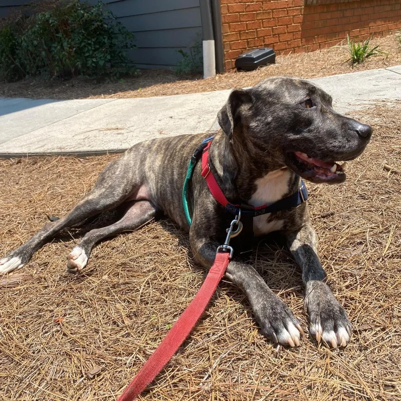 Mrs. Claus thumbnail 2