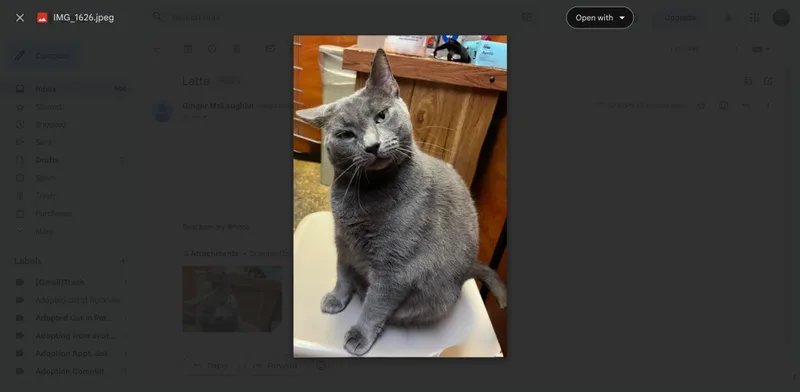 Latte thumbnail 2