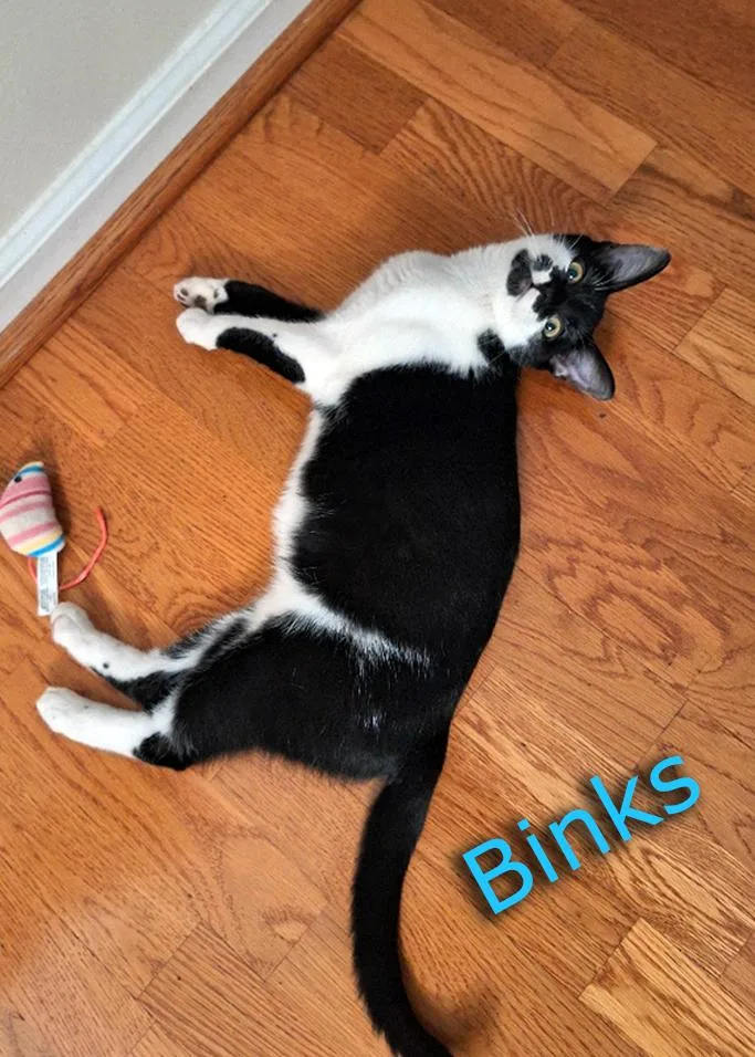 Binks thumbnail 2