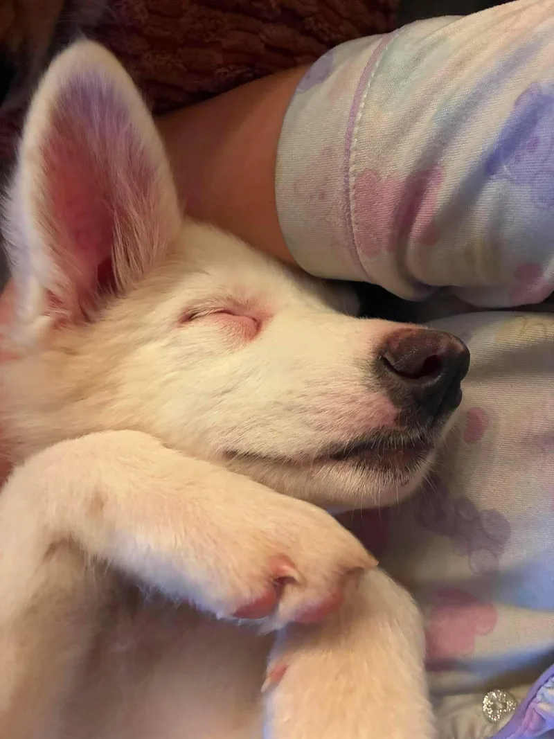 Roo thumbnail 5