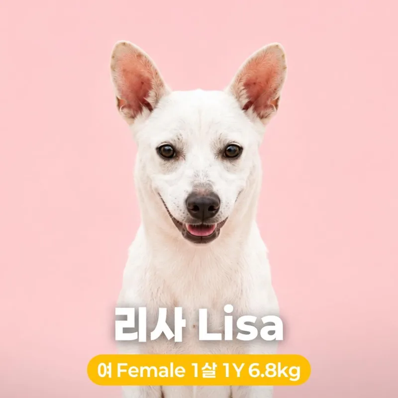 Lisa HW+ thumbnail 3