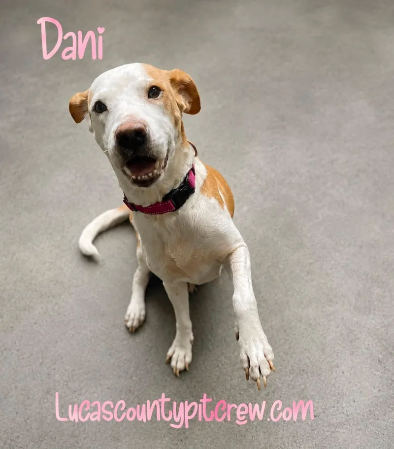 Dani thumbnail 2