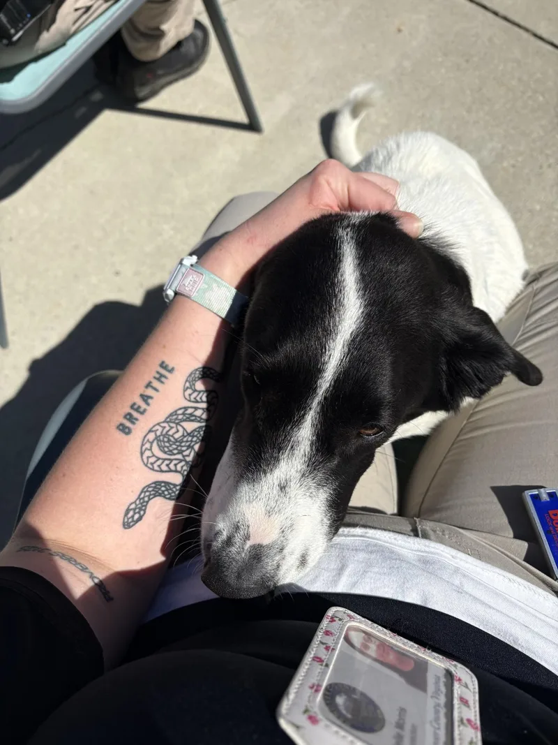 Lola thumbnail 5