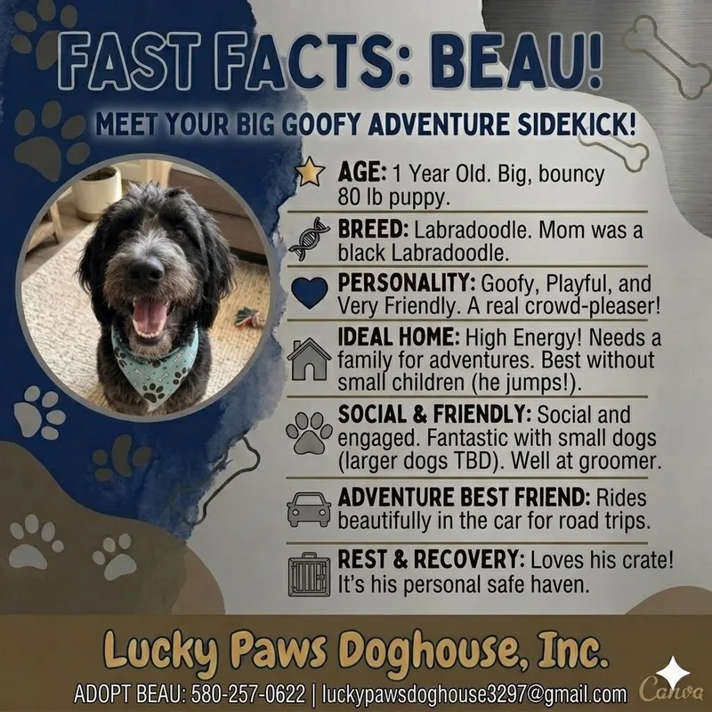 Beau thumbnail 2