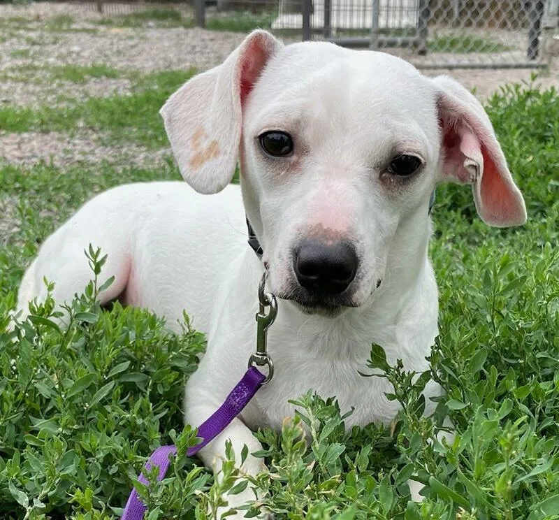 Casper thumbnail 2