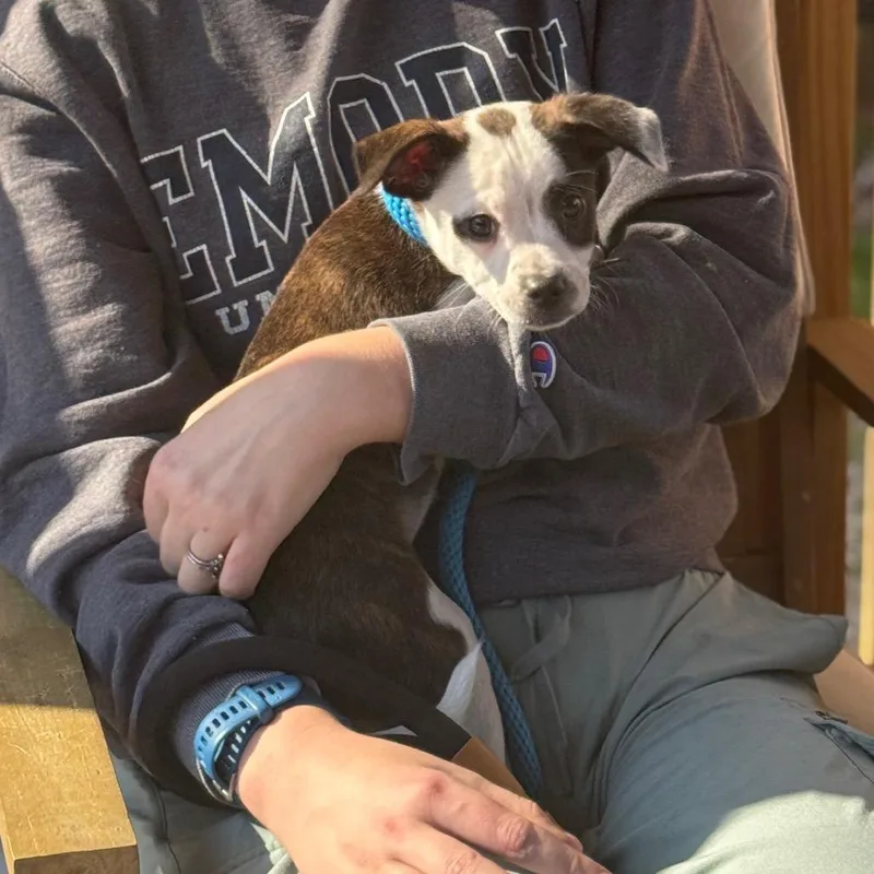 Anthony Bouvier thumbnail 3