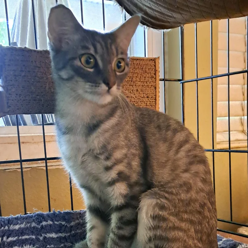 Carly thumbnail 2