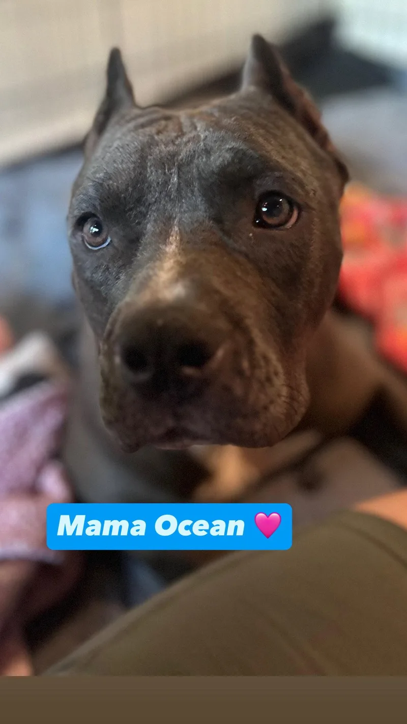 Ocean thumbnail 2
