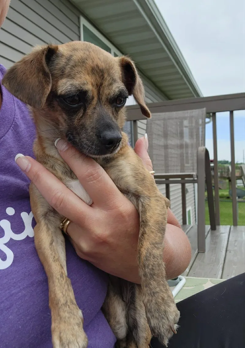 Coco thumbnail 4