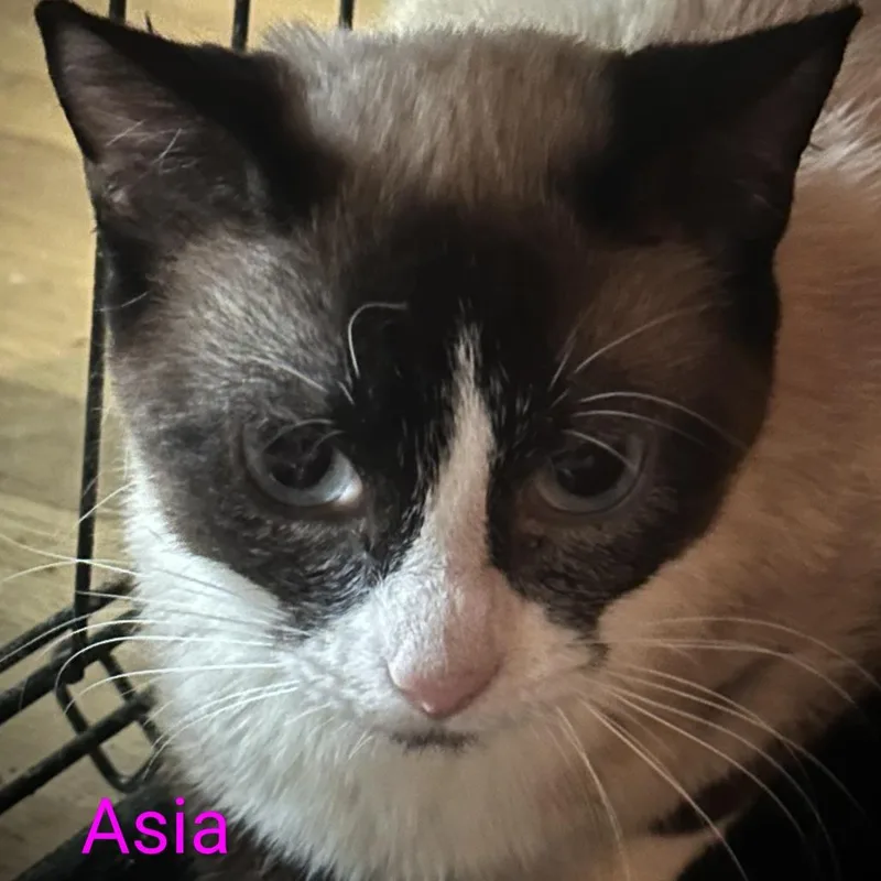 Asia