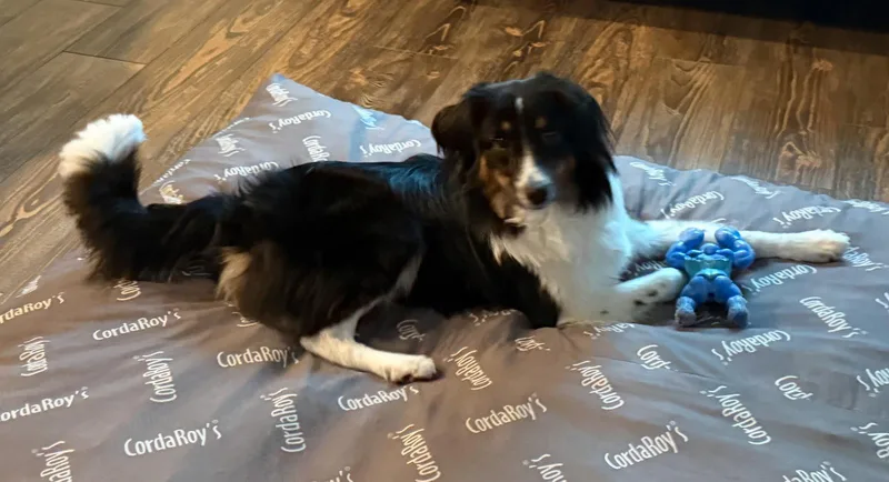 Maggie thumbnail 3