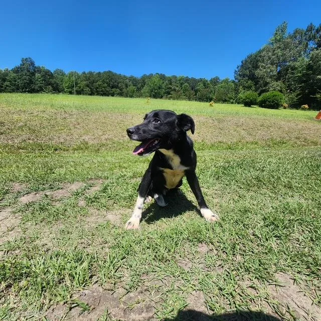 Keiko