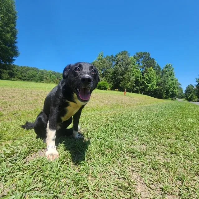 Keiko thumbnail 3