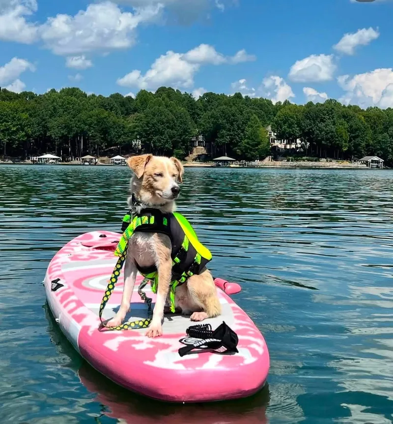 Bruno thumbnail 3