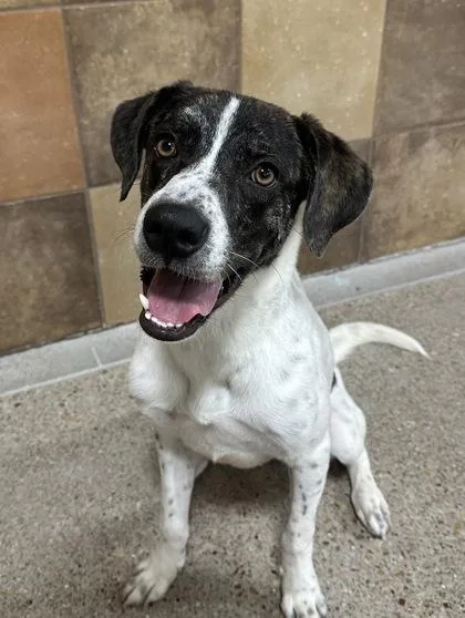 Smoochum thumbnail 2