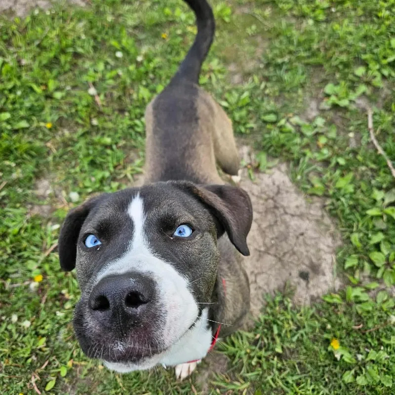 Jethro