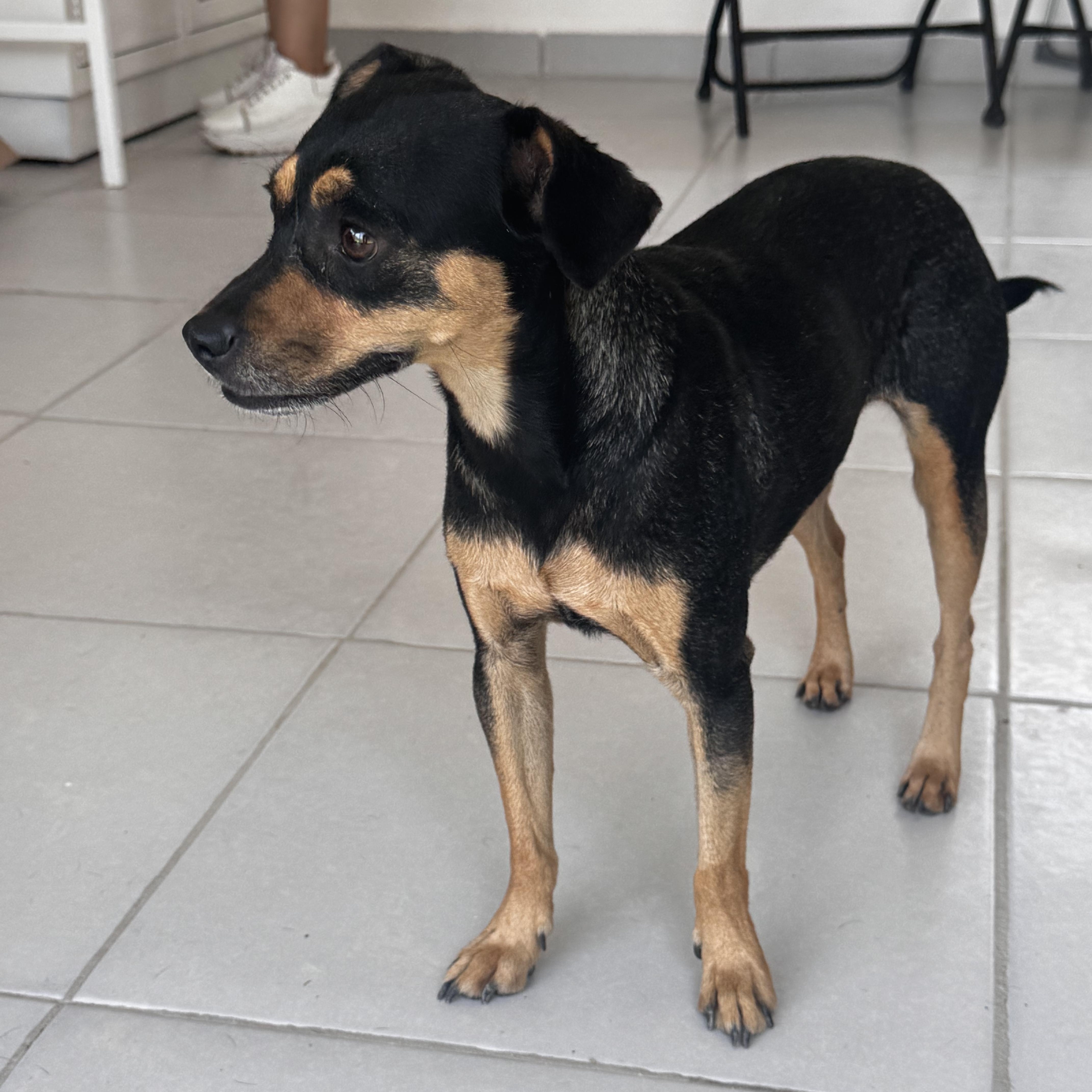 Maki thumbnail 6