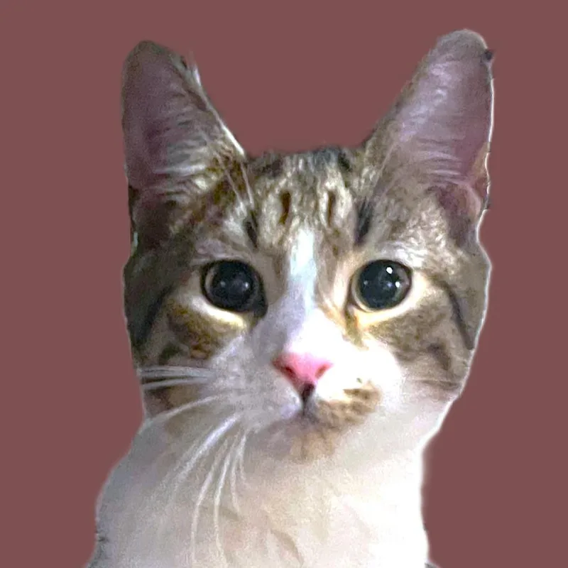 Mike Hat thumbnail 2