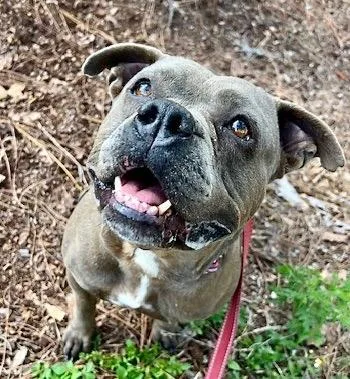 Sandrafee Fully Sponsored! thumbnail 3