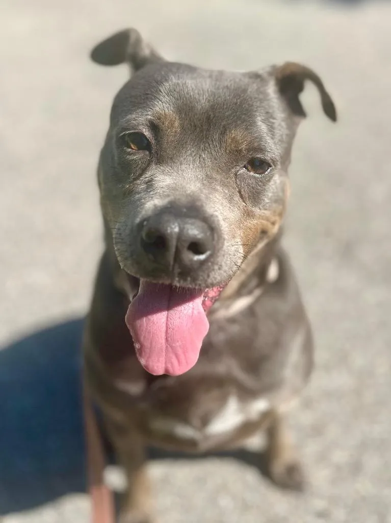 Sandrafee Fully Sponsored! thumbnail 5