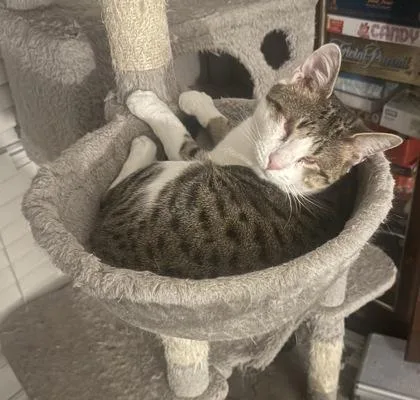 Stevie Wonder thumbnail 3