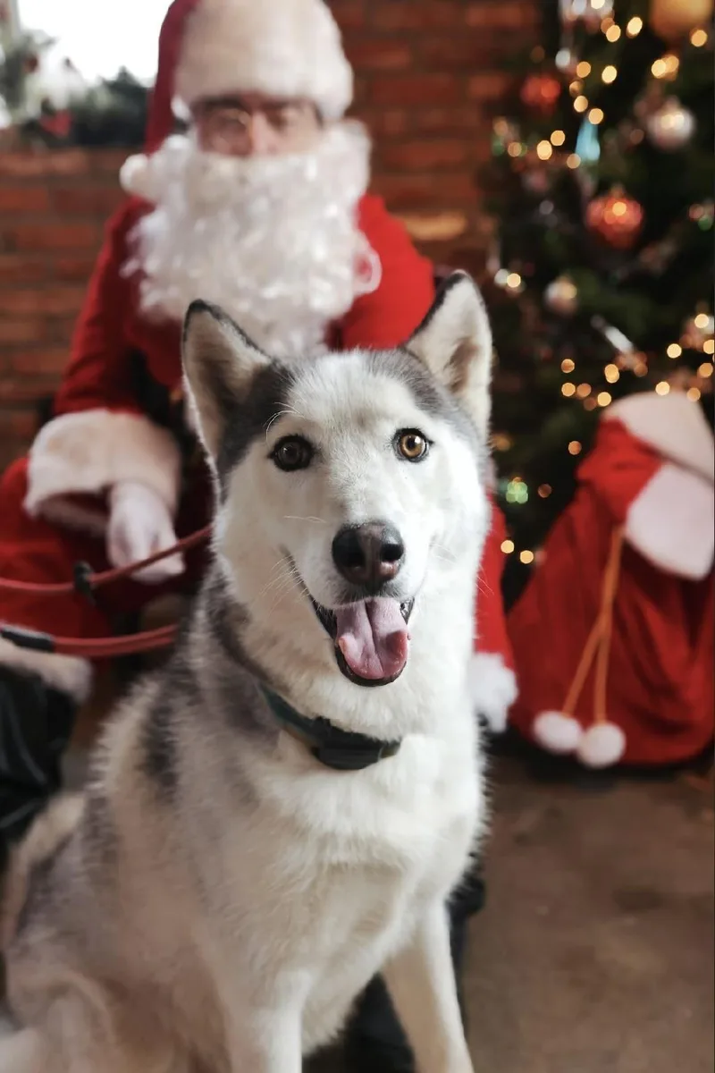 Hamilton thumbnail 2