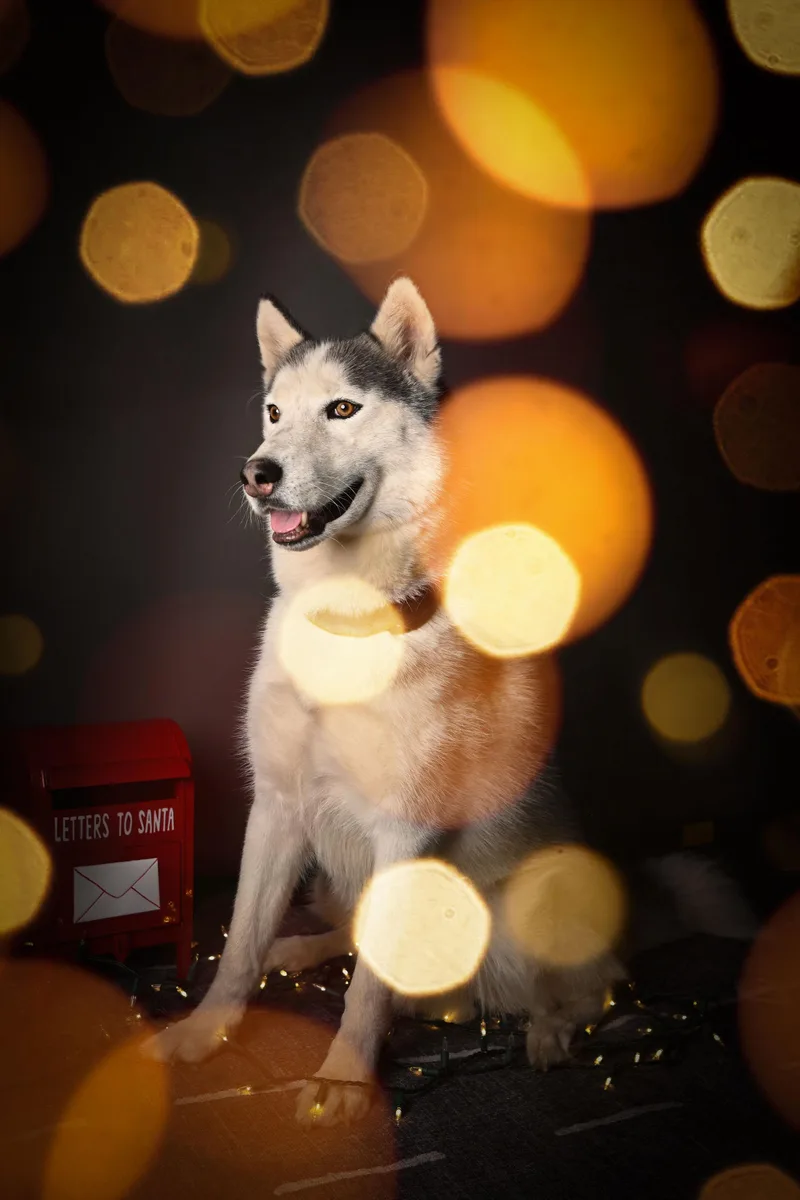 Hamilton thumbnail 3