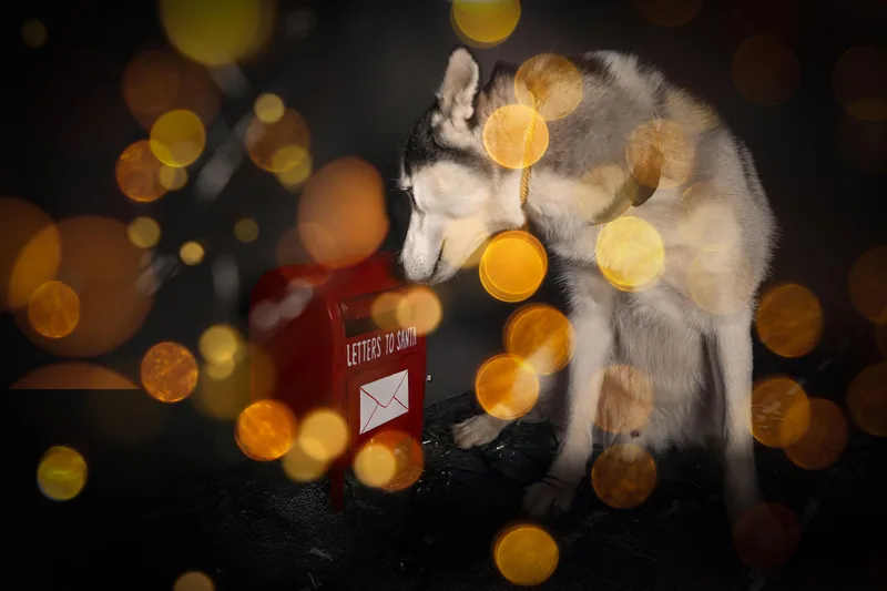 Hamilton thumbnail 4