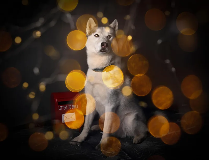 Hamilton thumbnail 5