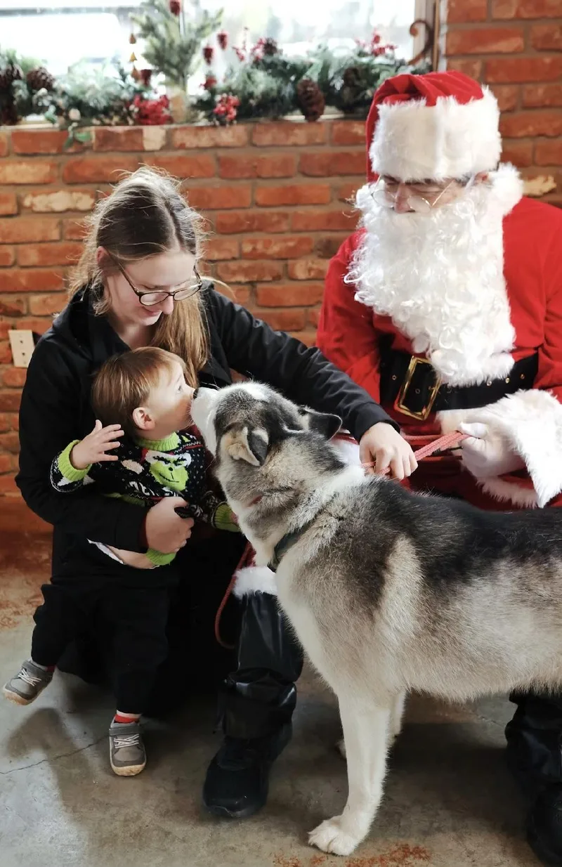 Hamilton thumbnail 6