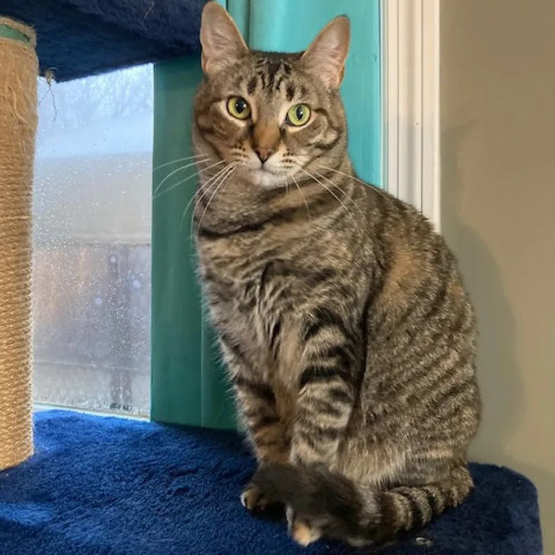 Hermoine thumbnail 2