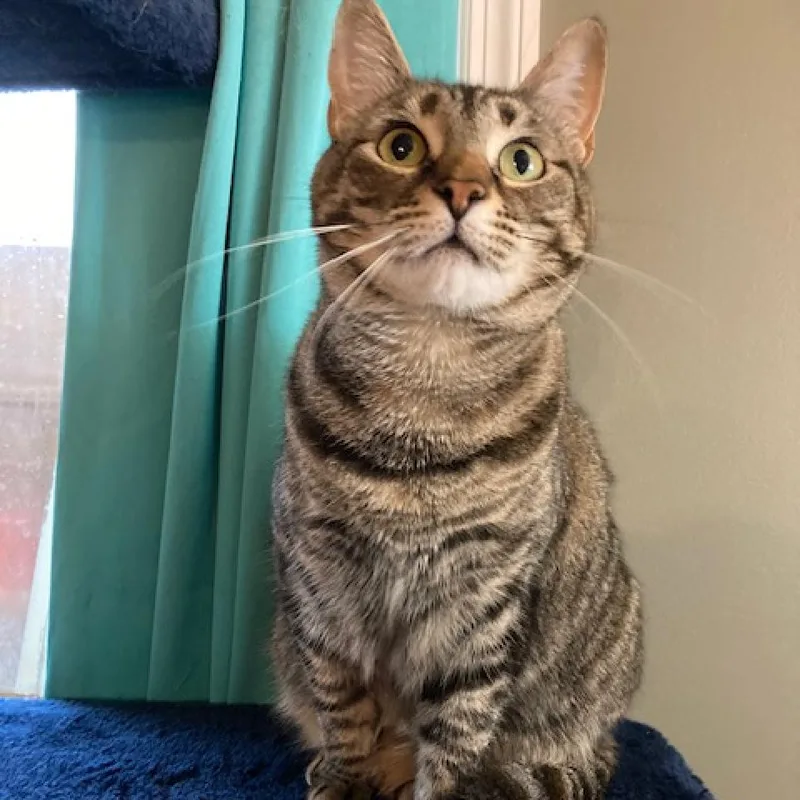 Hermoine thumbnail 4