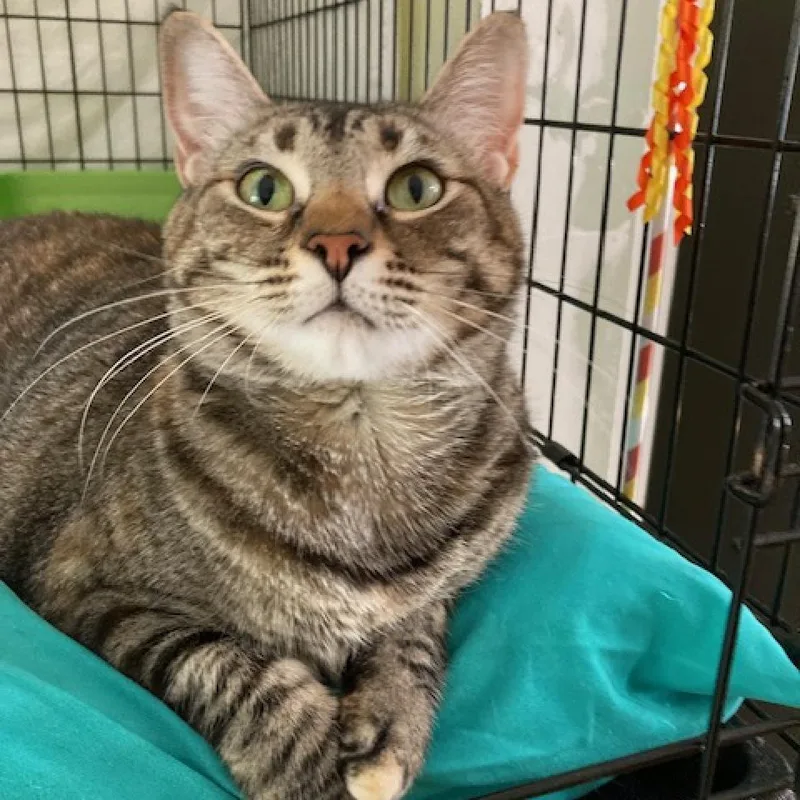 Hermoine thumbnail 5