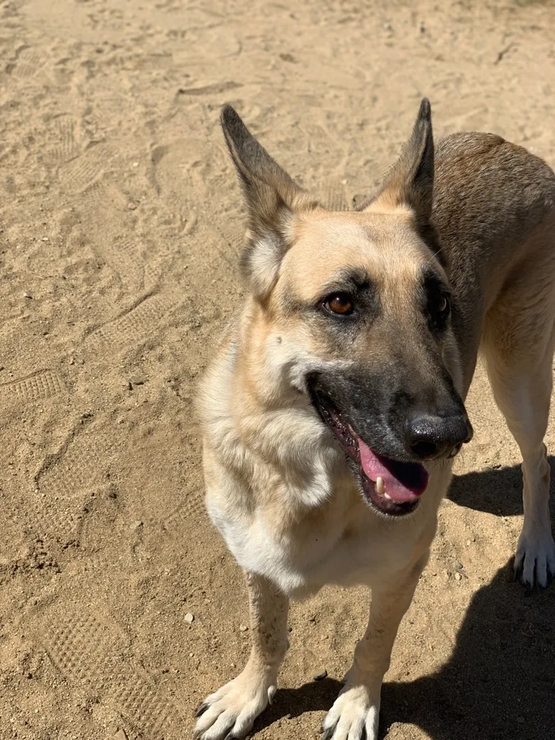 Ms. Jessie thumbnail 2