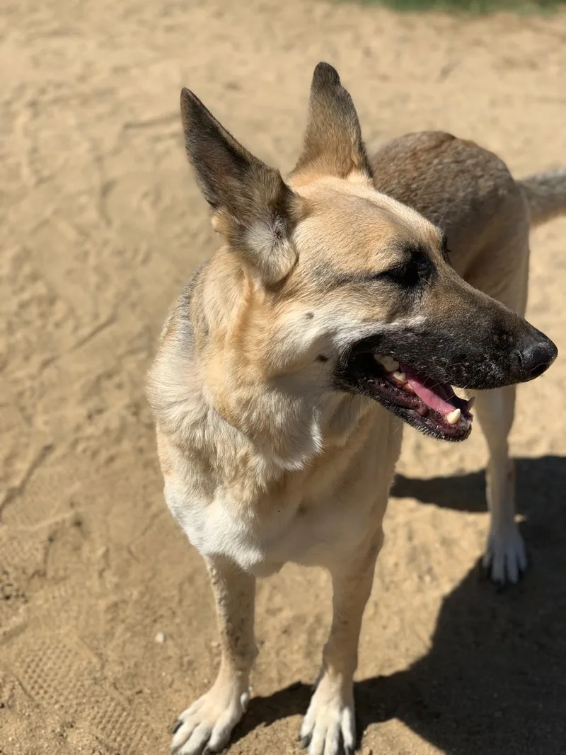 Ms. Jessie thumbnail 3