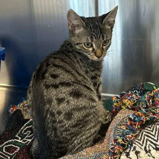 Mike Wazowski thumbnail 2