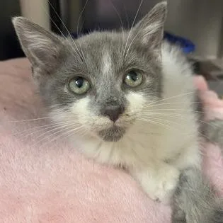 Harry Potter thumbnail 2