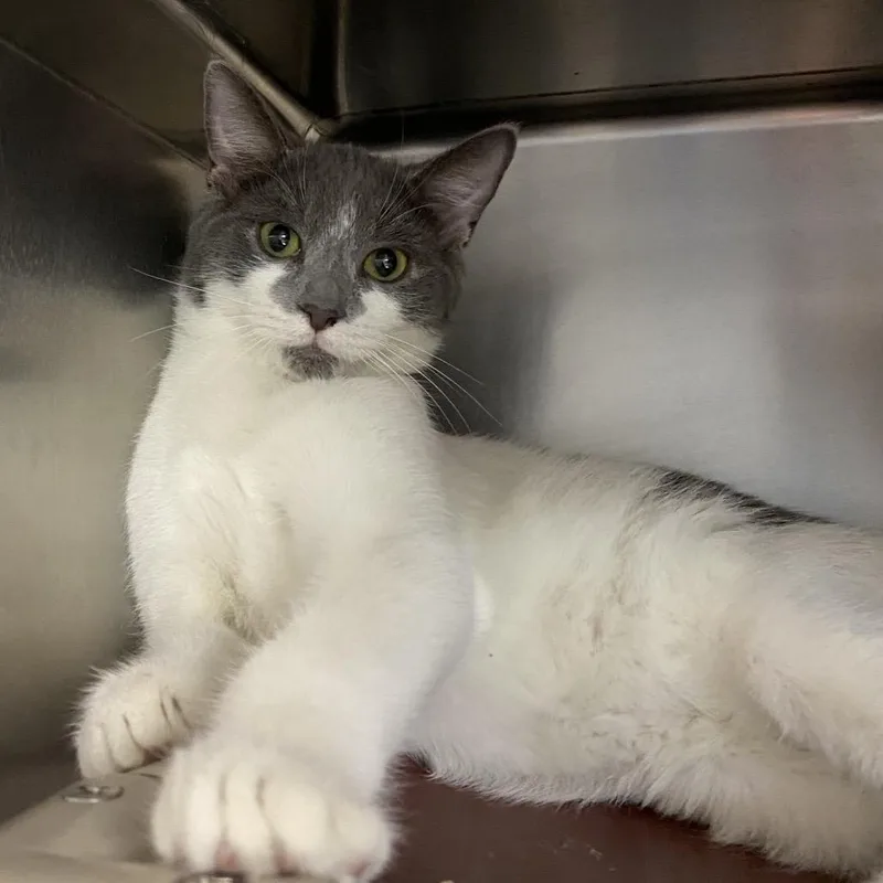 Harry Potter thumbnail 3