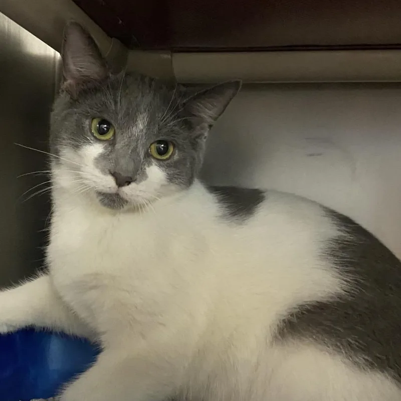 Harry Potter thumbnail 4