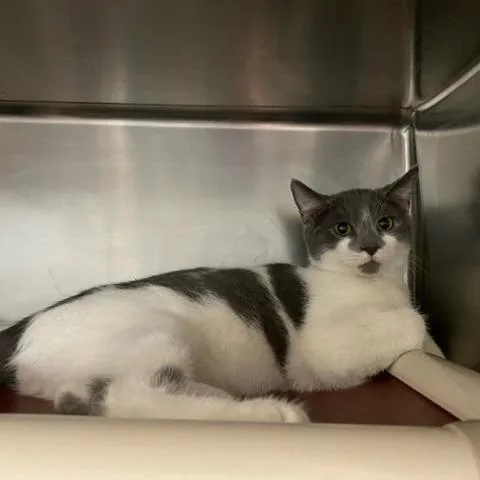 Harry Potter thumbnail 5