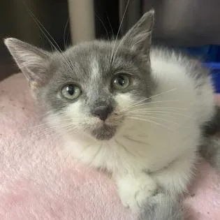 Harry Potter thumbnail 6